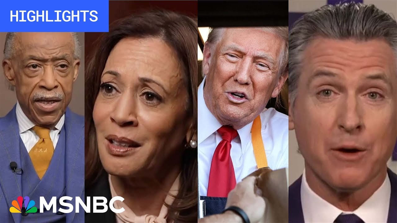 Countdown to the 2024 election: Day 16 | MSNBC Highlights