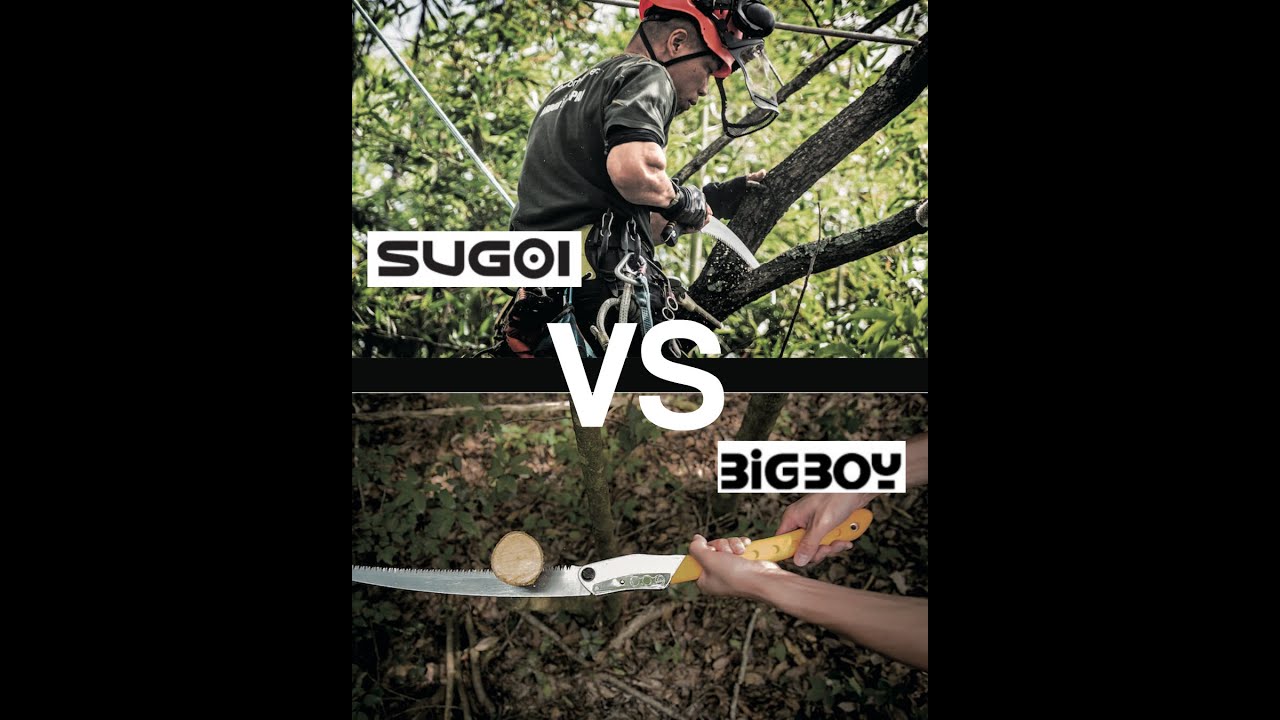 Silky Bigboy 2000 vs Silky Sugoi 360m