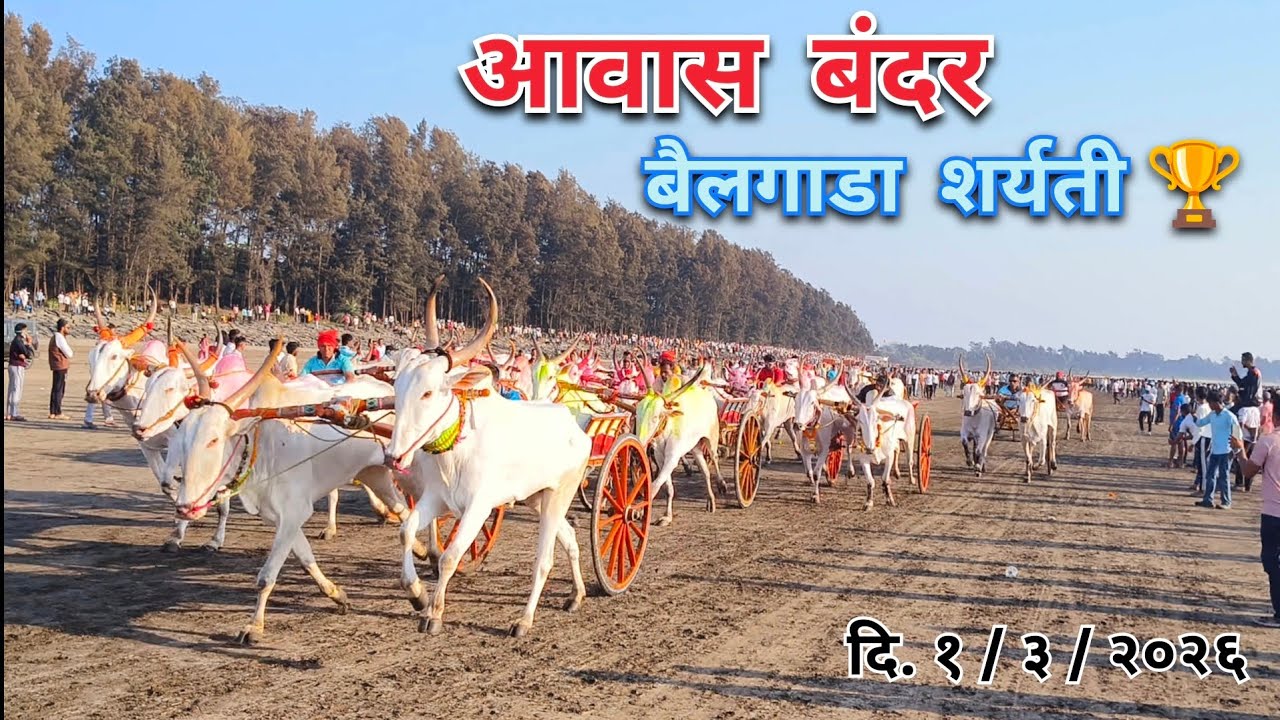 आवास बंदर बैलगाडी शर्यती 🏆🔥 | दि. 1/3/2026 | #bakasur #sonya5050 #mathur1001 #बैलगाडा 