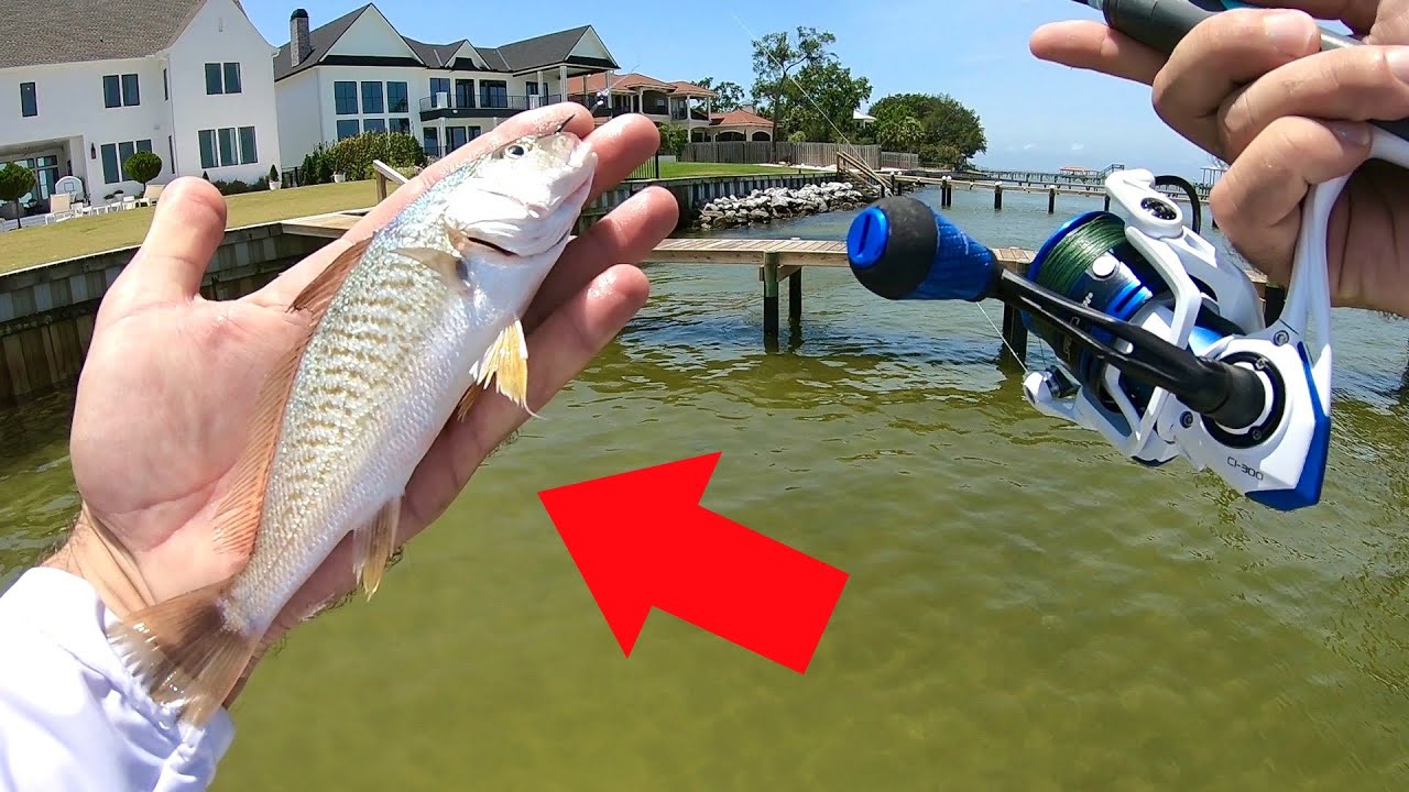 Using Big Bait For Dock Fishing Success