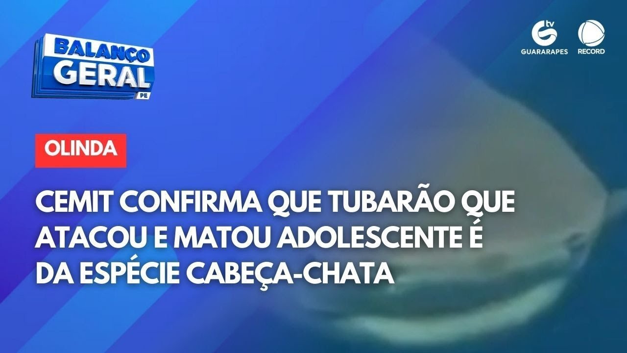 CEMIT confirma que tubarão que atacou e matou adolescente é da espécie cabeça-chata