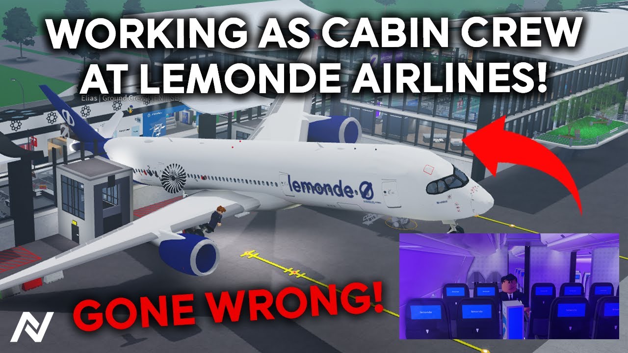 WORKING AS CABIN CREW AT LEMONDE AIRLINES! GONE WRONG!
