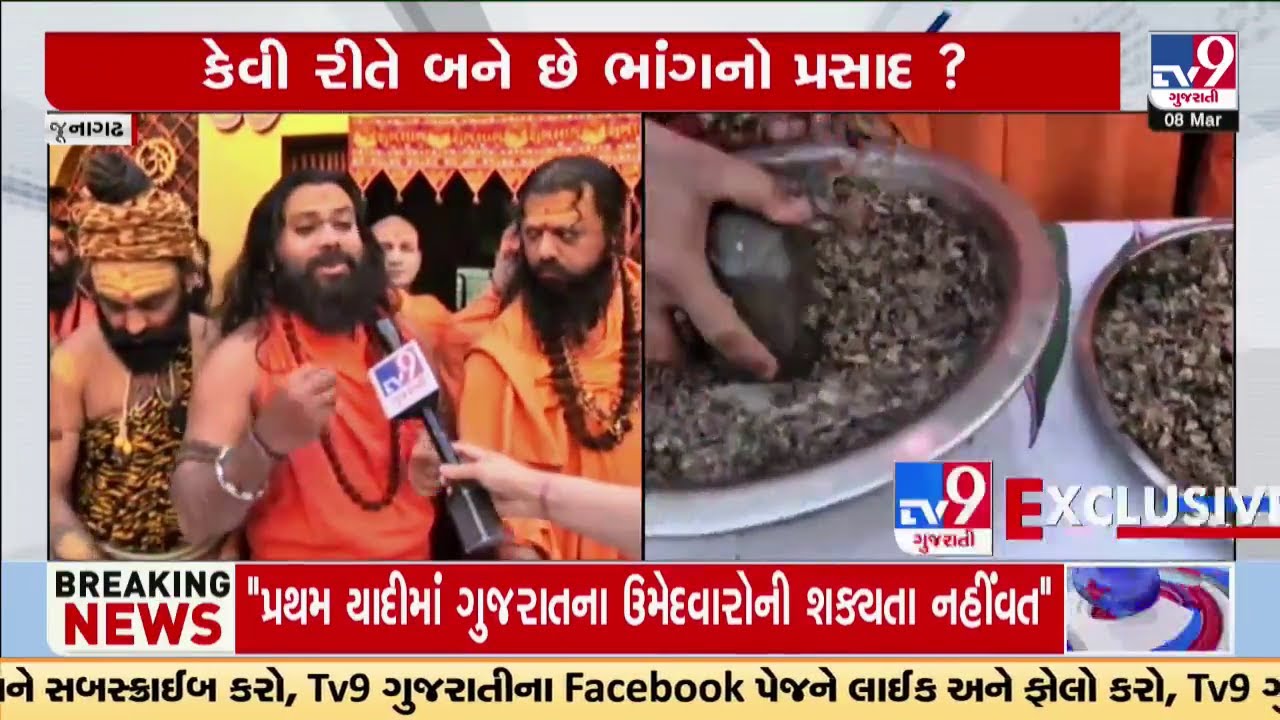 જાણો કેવી રીતે બને છે ભાંગનો પ્રસાદ? Junagadh માં સાધુ સંતોએ તૈયાર કર્યો પ્રસાદ | TV9Gujarati