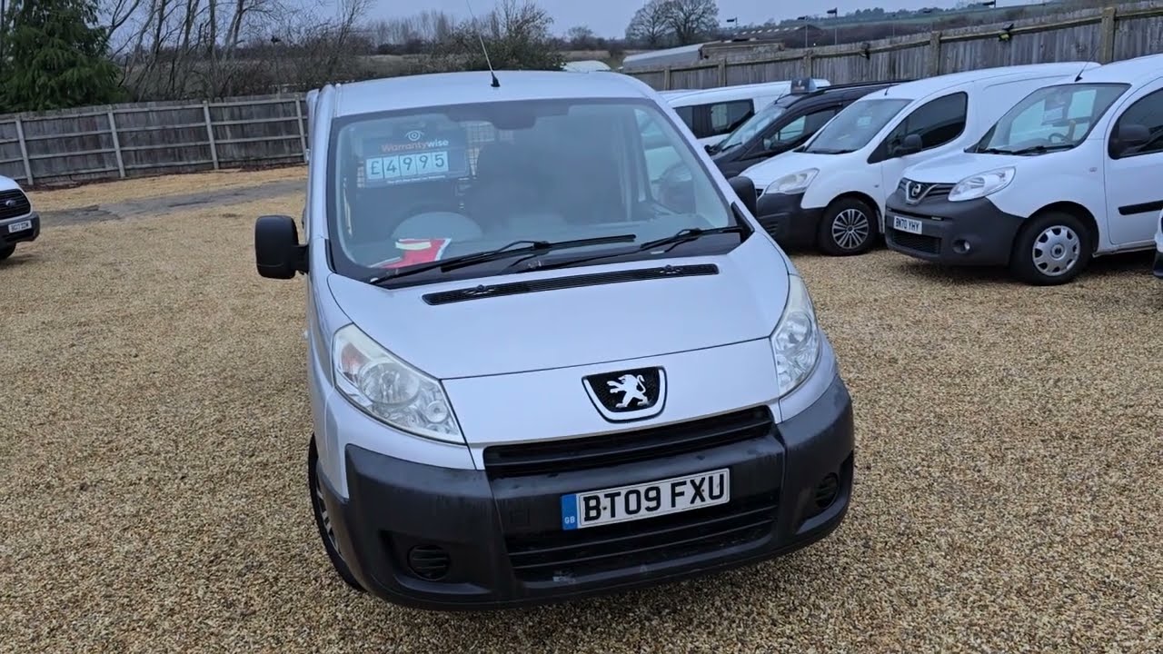 Peugeot Expert 2.0 HDi Panel 2009