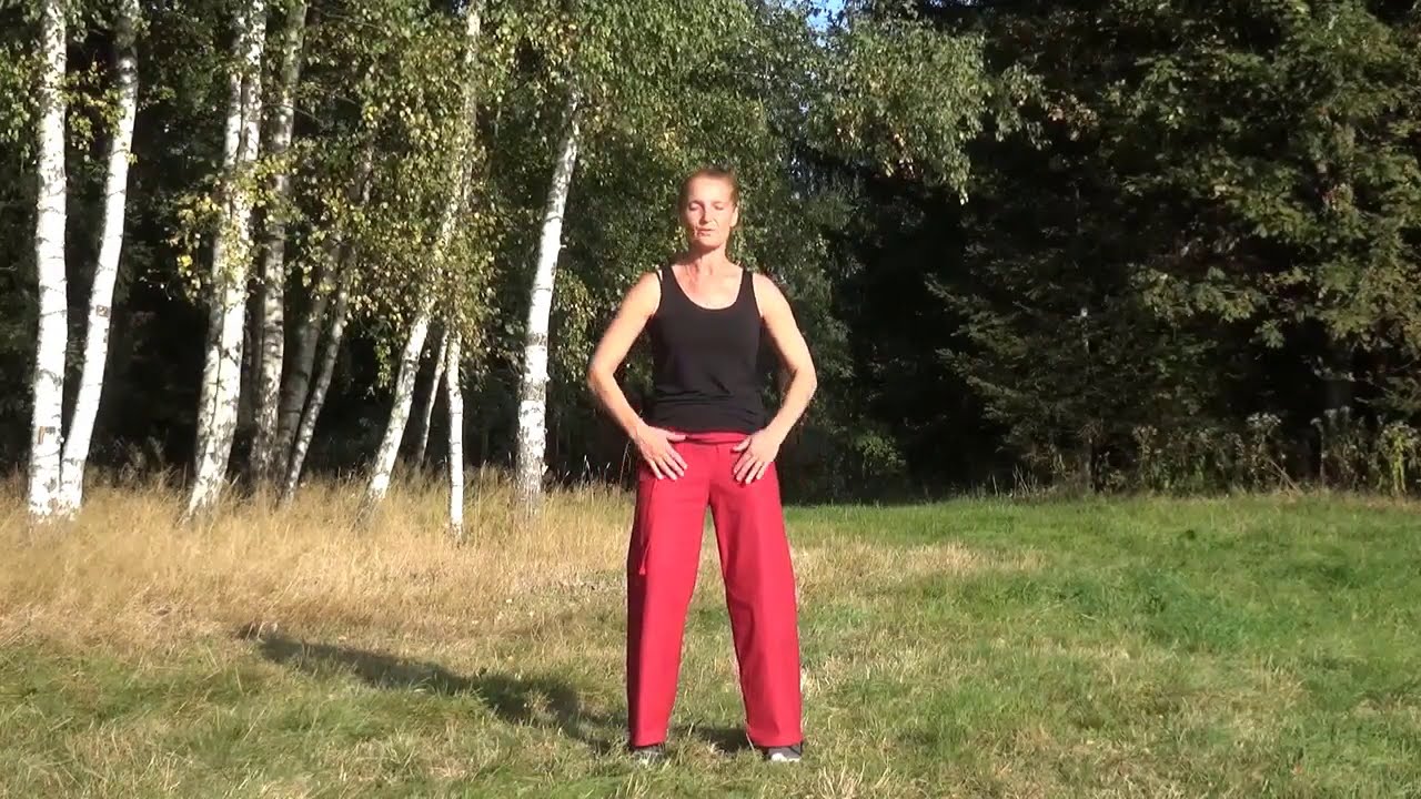 Ranný čchi-kung so Zunou