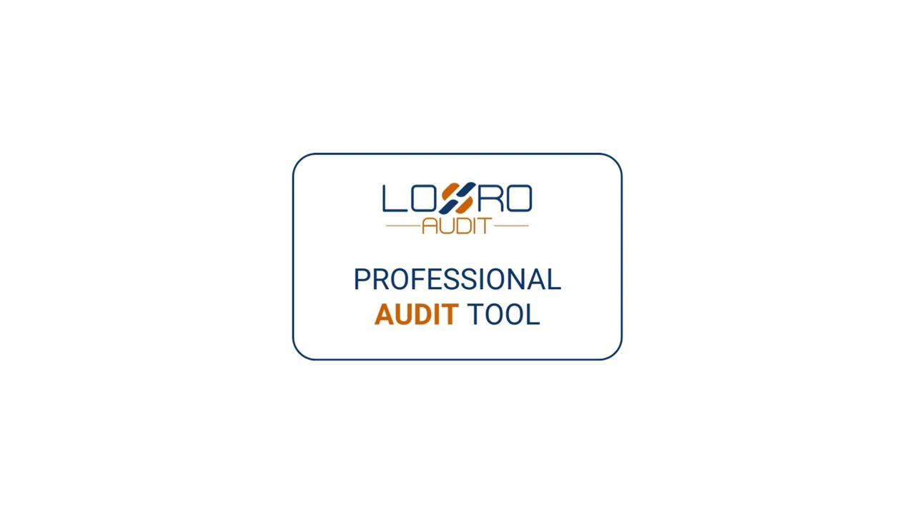 LORO Audit - Online Audit Management System
