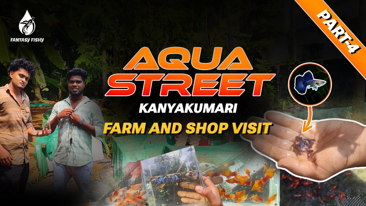 Aqua Street Shop Tour (Part-4) – நாகர்கோயிலில் இப்படி ஒரு மீன் பண்ணையா❓🤔🐟 | #kanyakumari #nagercoil