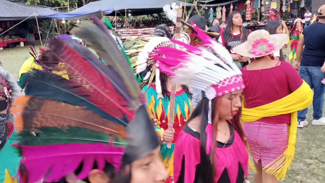 CARNAVAL MOLANGO VERACRUZ  PARTE 3