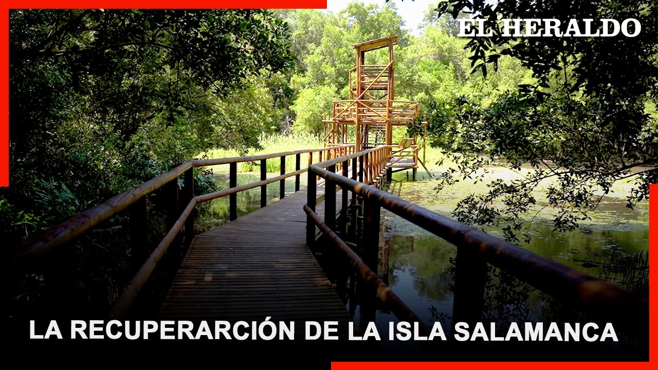 Recuperar la isla Salamanca: una tarea que toma fuerza previo a la temporada seca