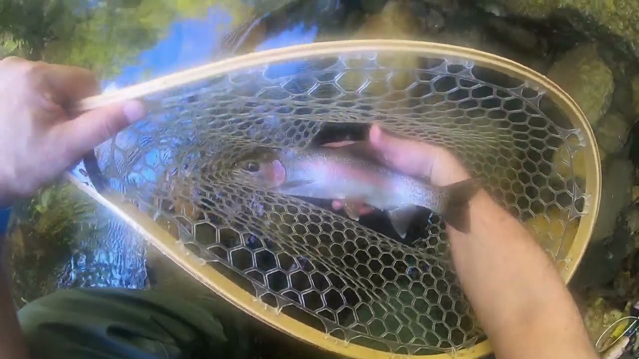 Duke's Creek October 2021 PT 3