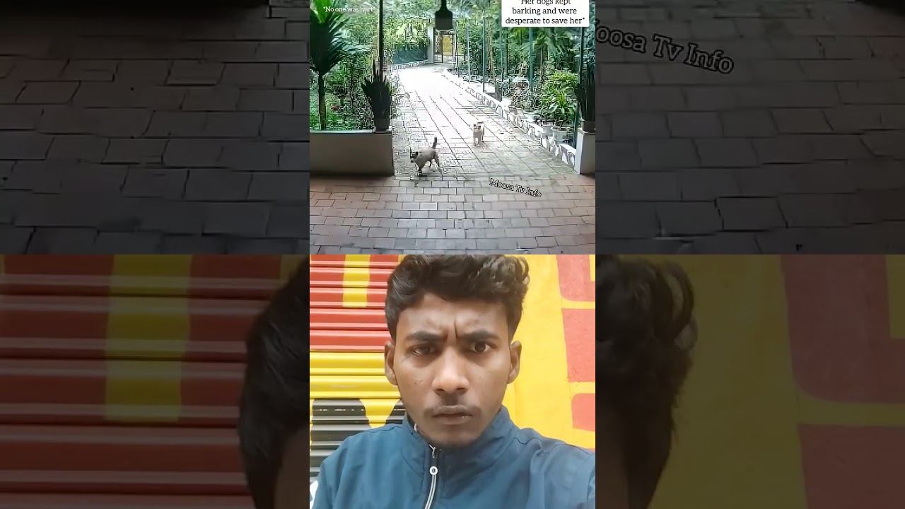 snake attack on man amazing horrible video. monisk. 