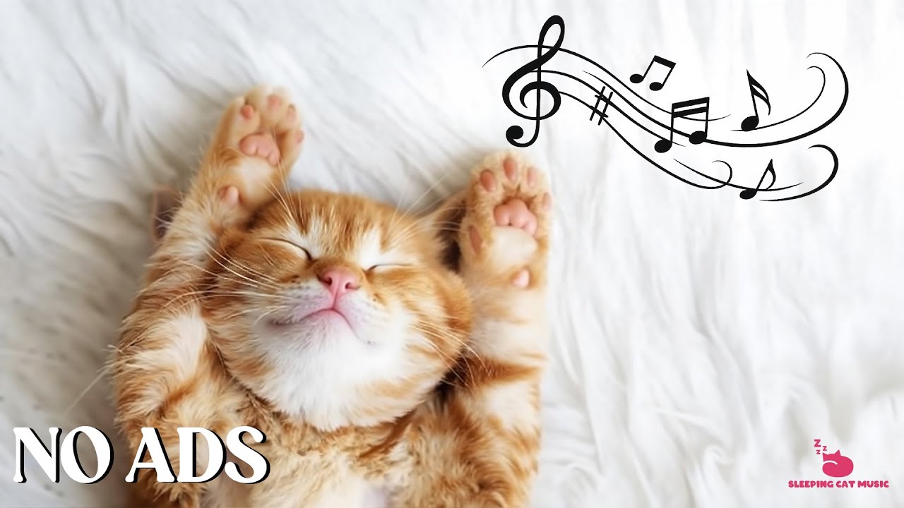 Calming Music For Cats - Relaxation, Relief of Anxiety and Stress