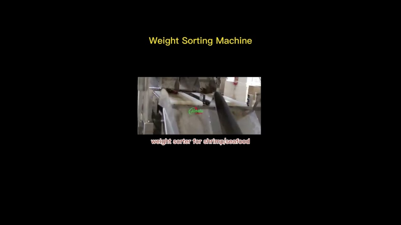 CRAB and LOBSTER WEIGHT SORTING MACHINE EXPOSED!
