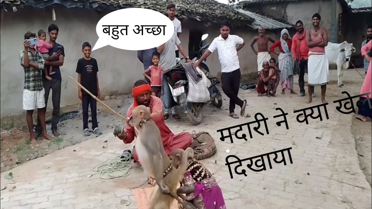 बंदर और# बंदरिया ने गजब का खेल दिखाए हमारे गांव में#