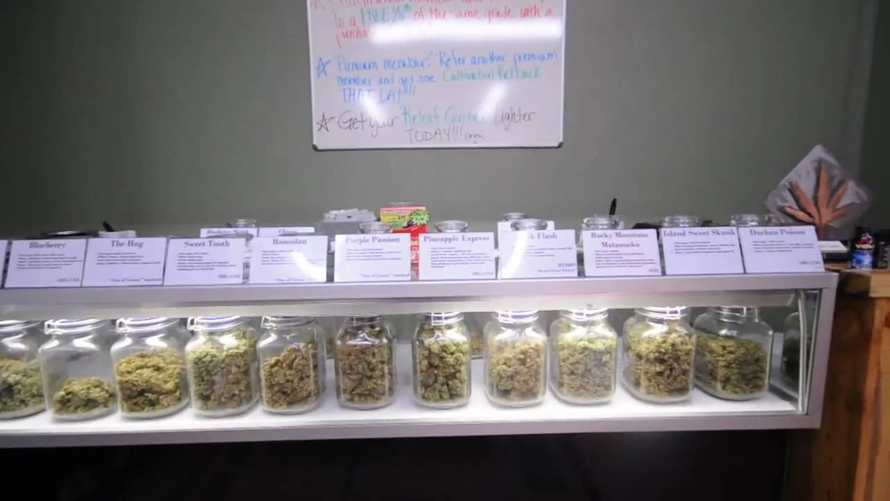 The Releaf Center Store Tour