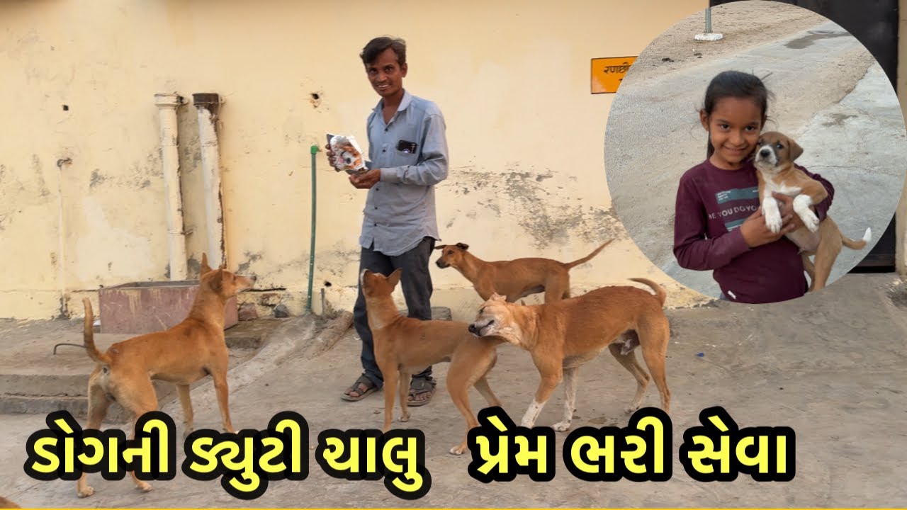	ડોગ માટે દિલથી સેવા – સંપૂર્ણ દિવસ / family vlog / animals lover vlog 