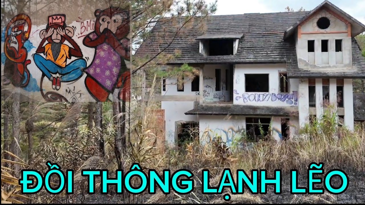 Những Ngôi Nhà Bỏ Hoang Giữa Đồi Thông Mộng Mơ Đà Lạt