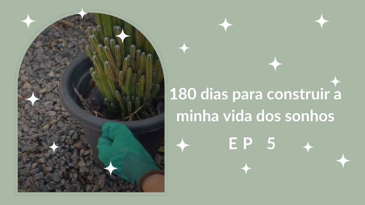 180 dias construindo a minha vida dos sonhos | ep 5. | uma pausa para voar mais alto