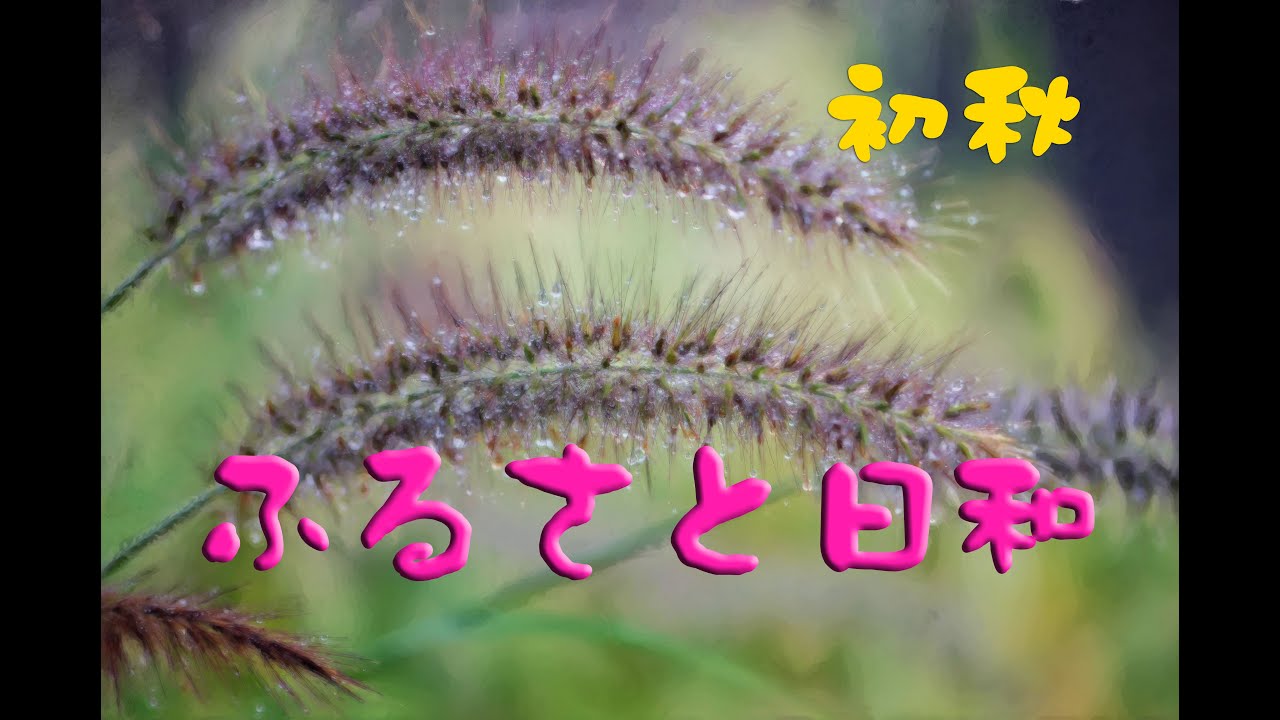 ふるさと日和　初秋
