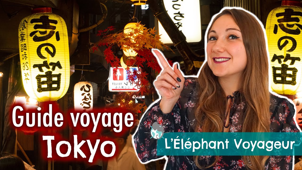 GUIDE VOYAGE TOKYO (1/2) Infos pratiques et déplacements (Japon 2022)