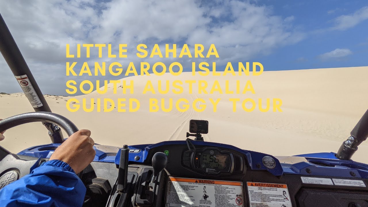 Little Sahara Guided Buggy Tour Kangaroo Island South Australia