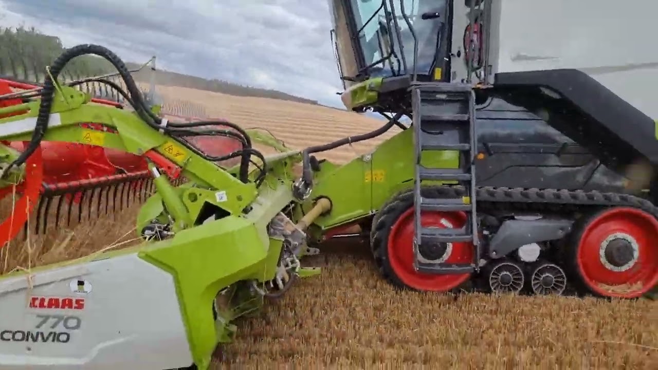 Harvest 2022 Claas Lexion 550TT with Convio 770 presenting the winter barley head first.
