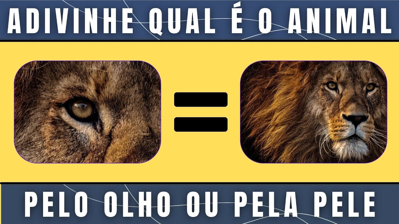 ADIVINHE O ANIMAL PELO OLHO OU PELA PELE 🐾