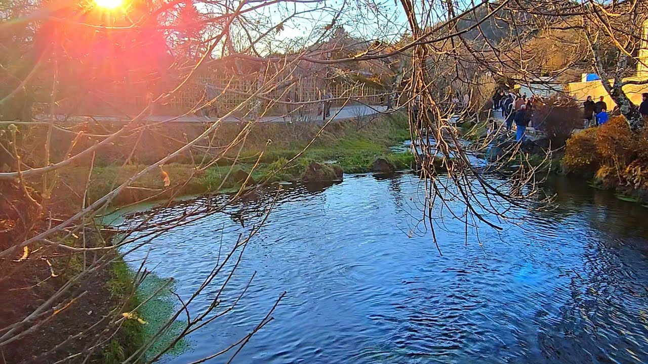 The beauty of the clear water village, a World Heritage site in Japan, with views of Mount Fuji.