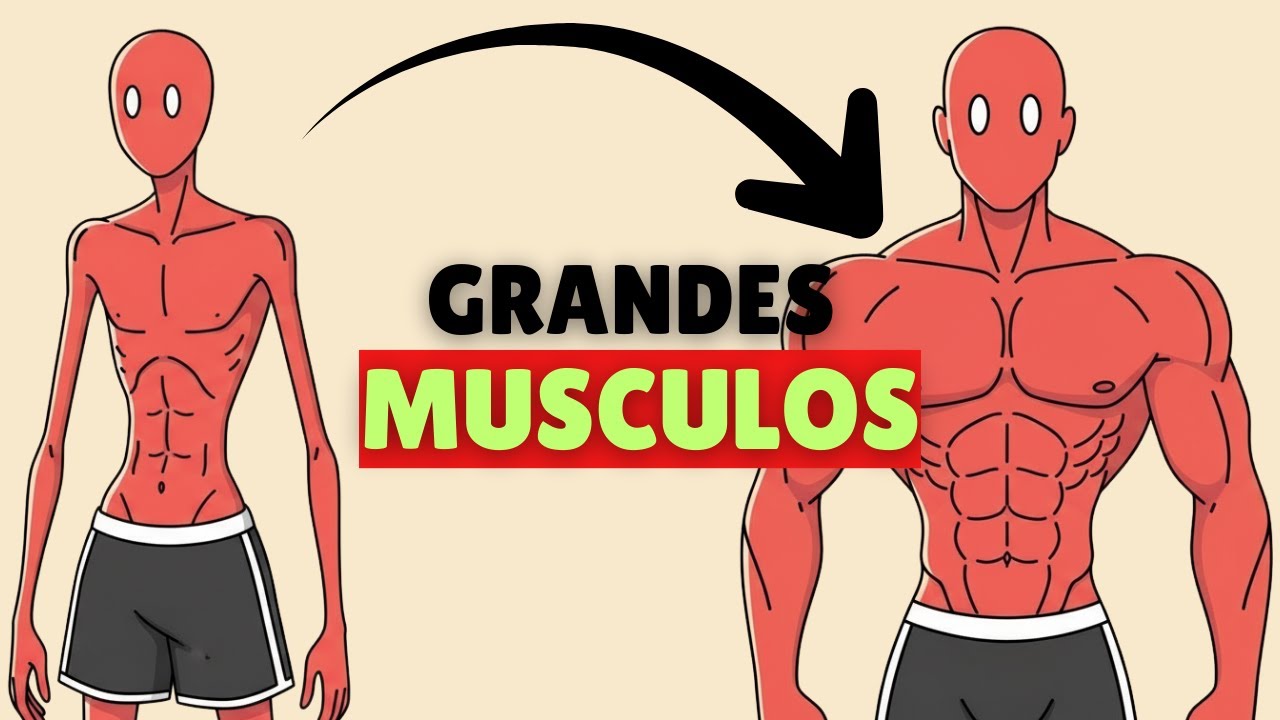 Qué MÚSCULOS realmente te hacen ver más FUERTE