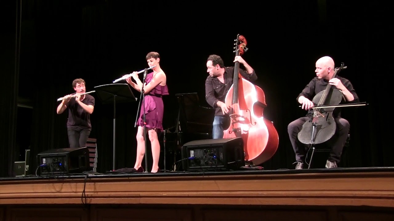 Nina Perlove with Project Trio - Habanera from Carmen