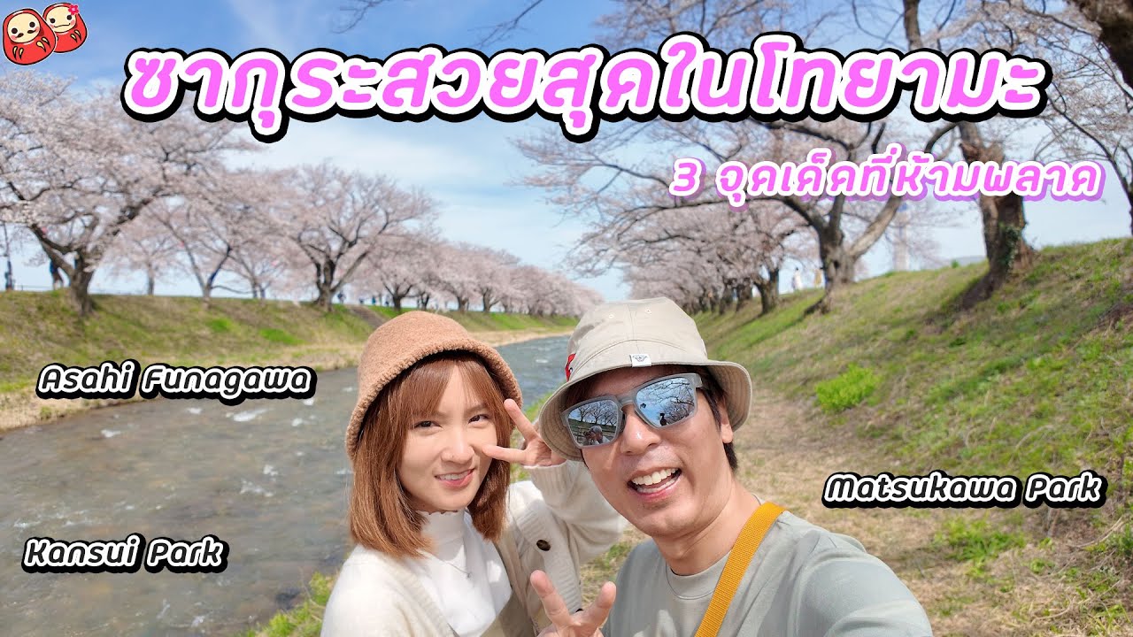 ซากุระสวยที่สุด อันดับต้นๆของญี่ปุ่นที่โทยามะ Best Sakura Spot in Toyama