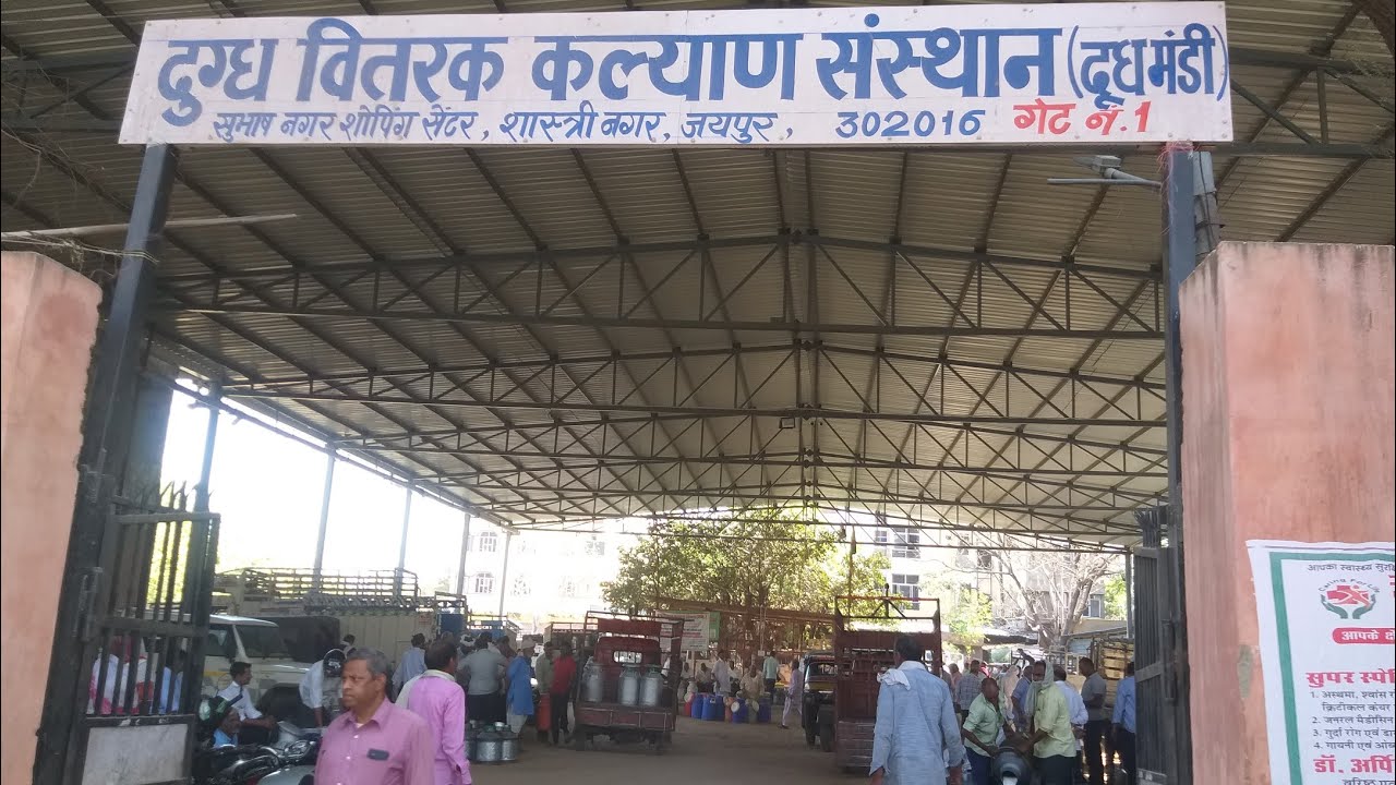 Dudh mandi, Subhash Nagar, Jaipur !1 lakh litter daily dudh ! सुभाश नगर दुध मण्डी जयपुर।
