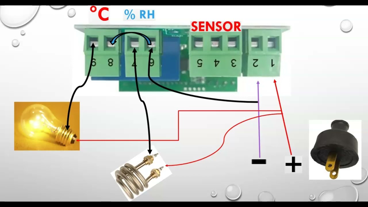 Conectar STC 3028