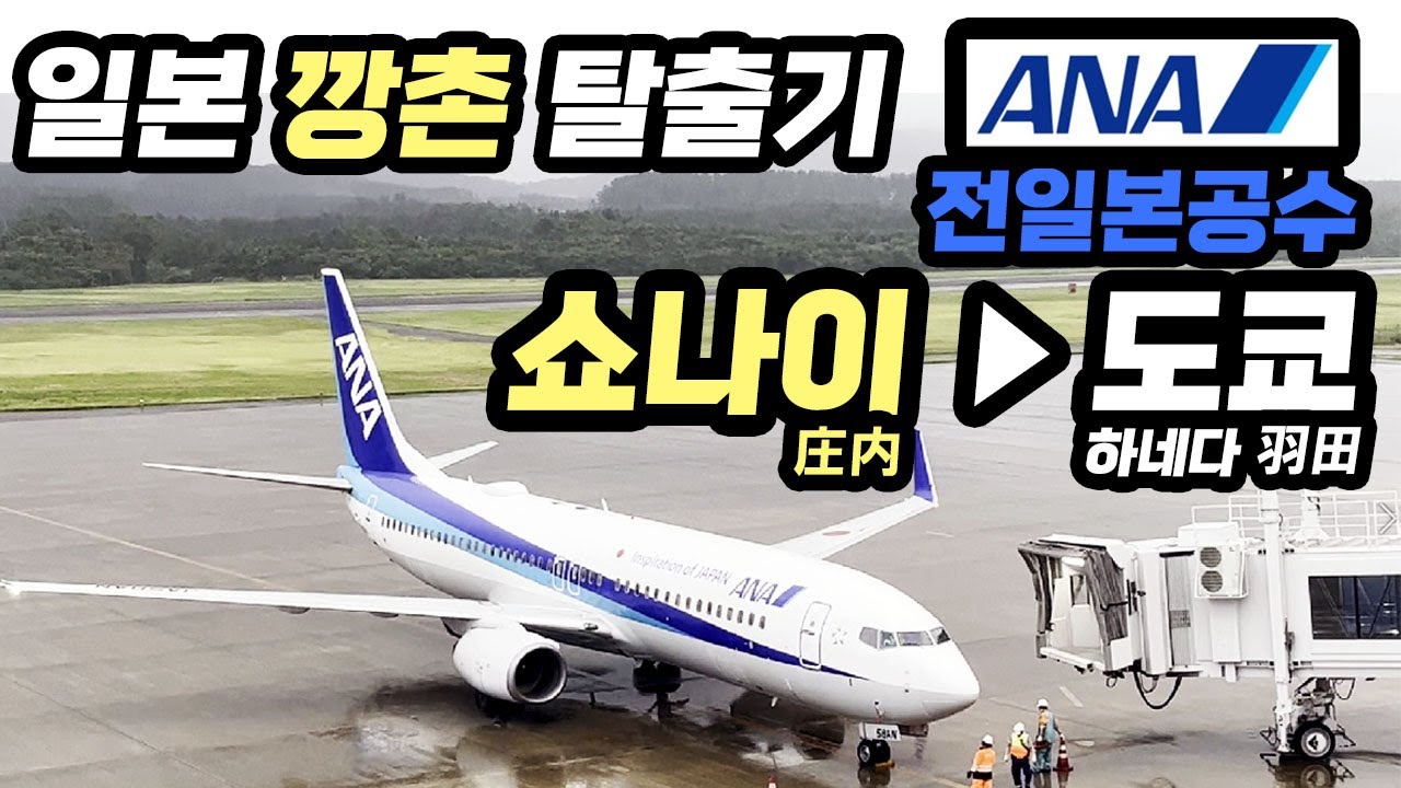 일본 깡촌 탈출 「쇼나이 ▶ 도쿄」 전일본공수 국내선 탑승기