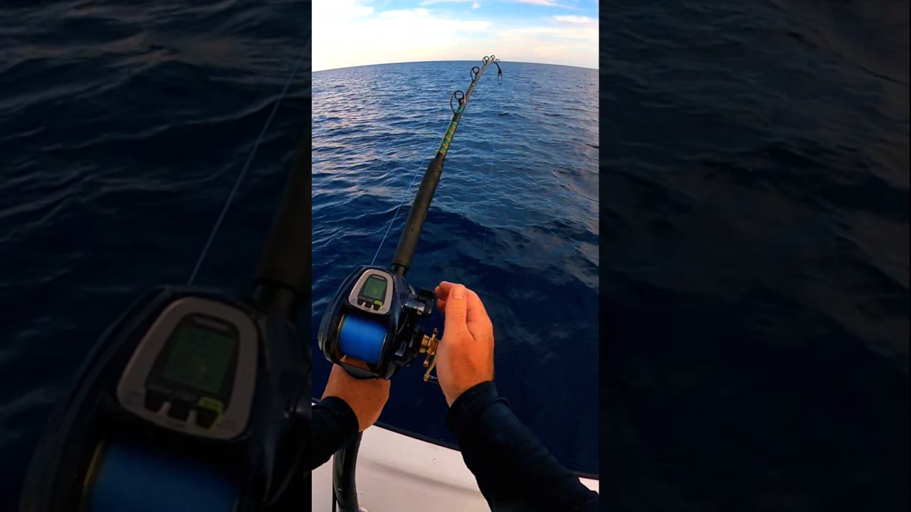 $1,600 Electric Reel Gets Put to The TEST! 