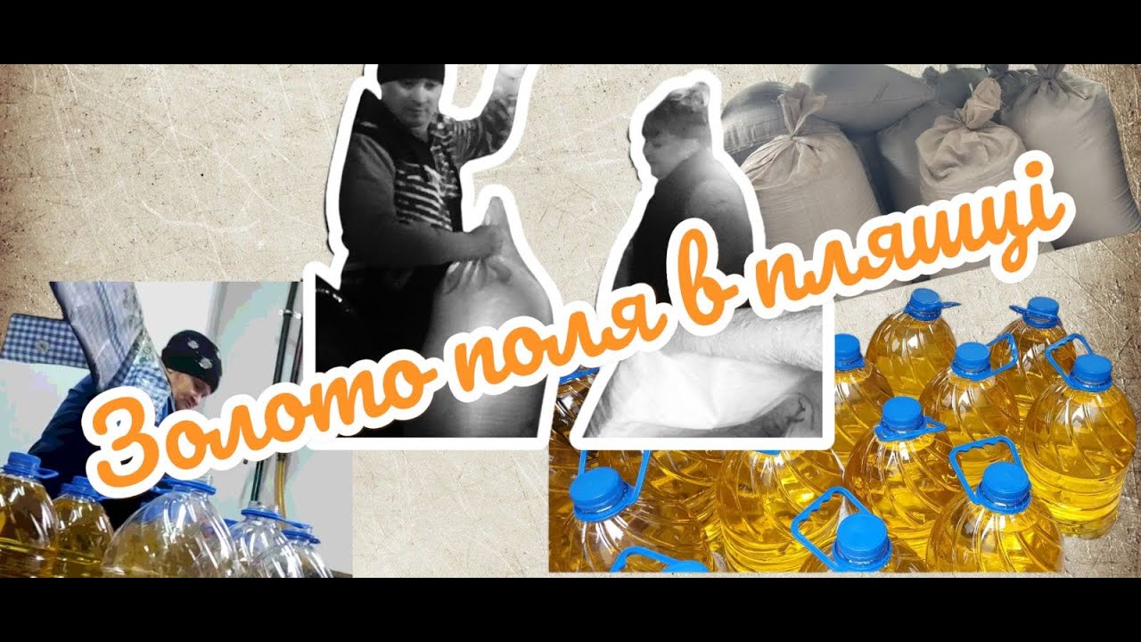 Скільки ми ЗАРОБИЛИ? Золото Поля в Пляшці: Неймовірна трансформація від насіння  до олії.