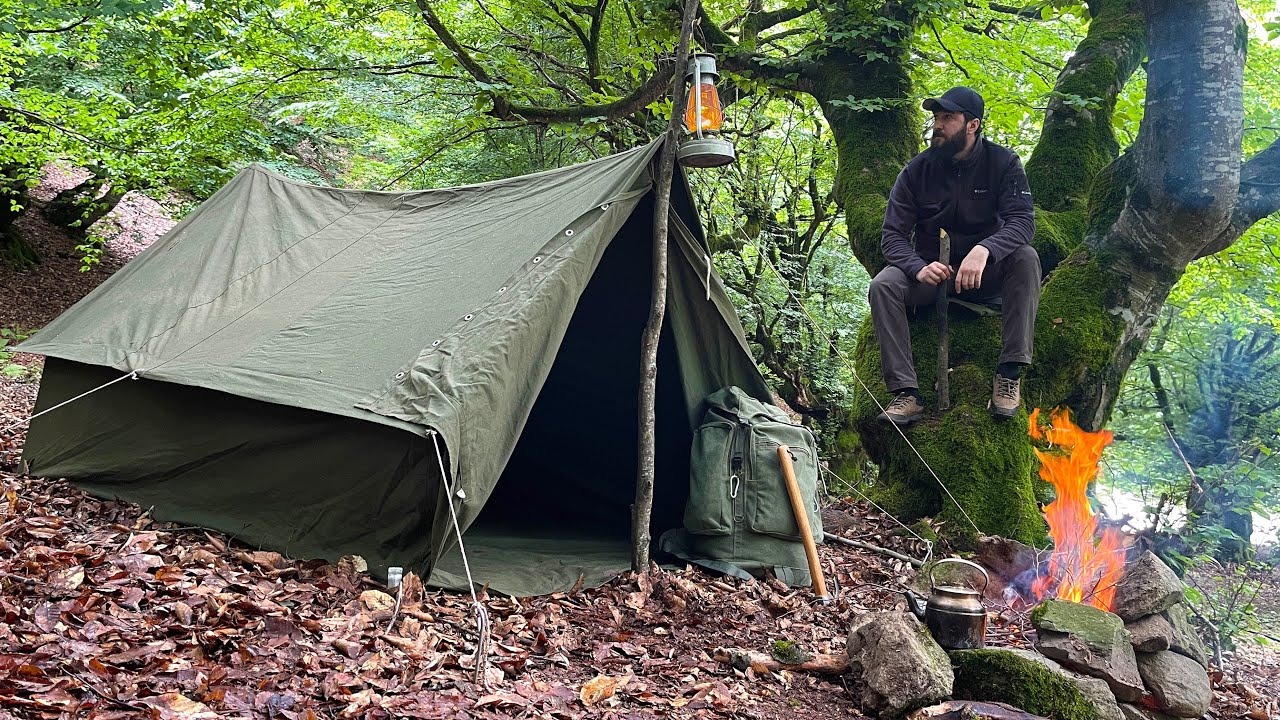 Solo Bushcraft Camp in the Forest! Relaxing Night in a Tent Shelter. ASMR