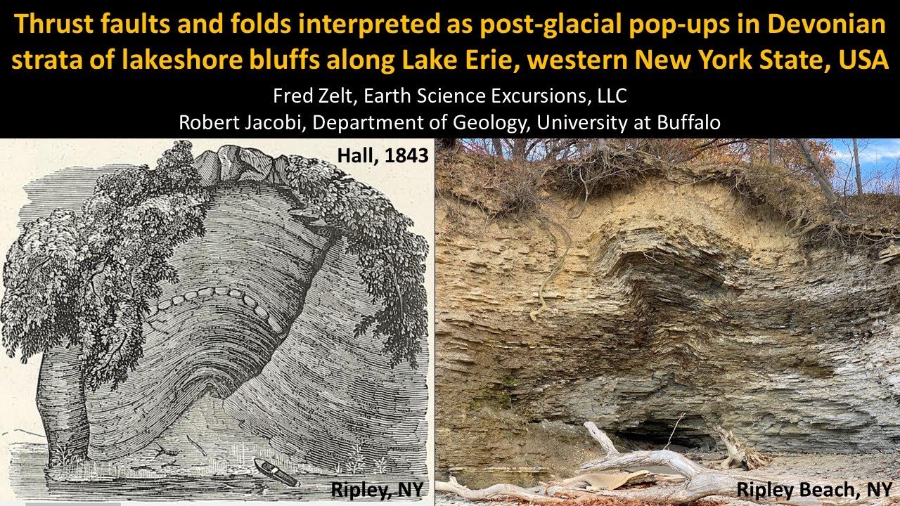 Compressional geologic structures in Devonian shales of Lake Erie lakeshore bluffs, western New York