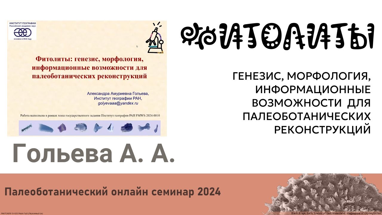 Гольева А.А. - Фитолиты: генезис, морфология,  возможности для палеоботанических реконструкций