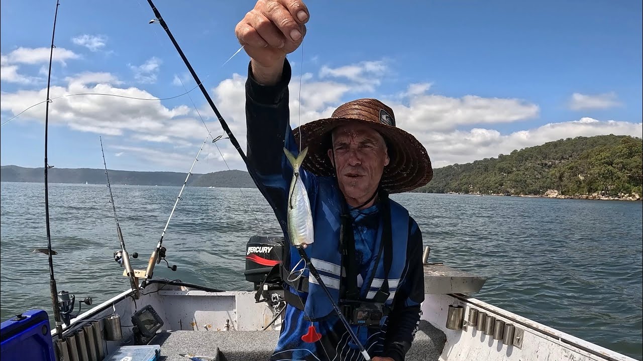 Fishing basics good results Catch & Cook