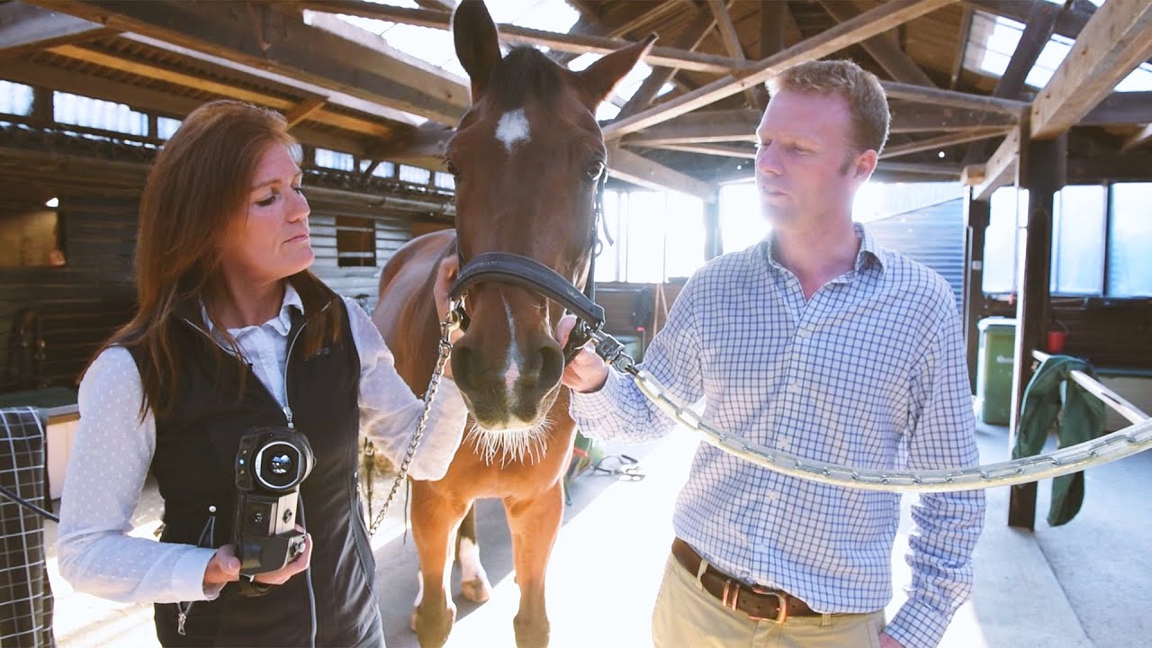 Using FLIR Thermal Imaging for Equine Thermography