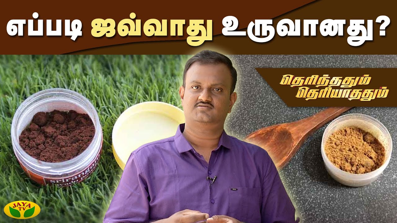 எப்படி ஜவ்வாது உருவானது? | Therinthathum Theriyathathum | Kaalai Malar | JayaTv