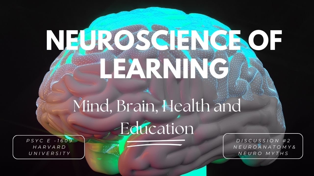 Neuroscience of Learning - Discussion #2 - Neuroanatomy & Neuromyths
