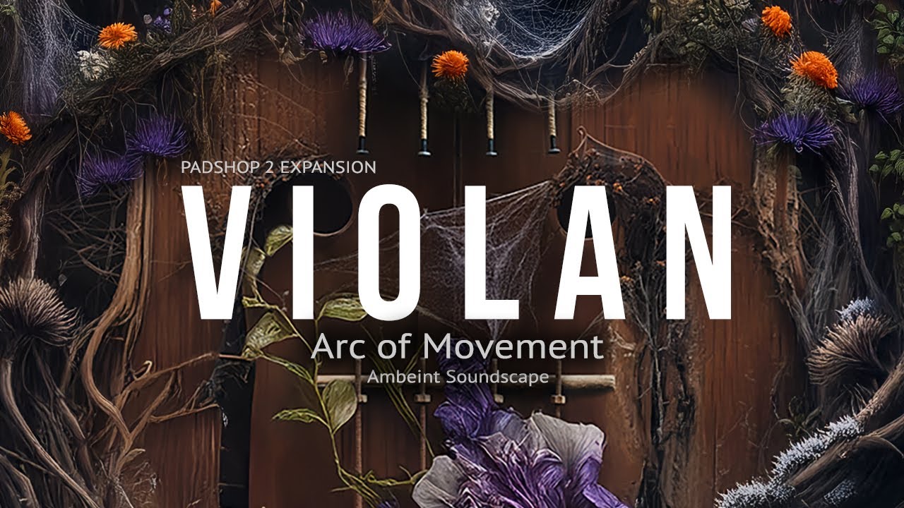 Violan for Steinberg's Padshop 2  - Arc of Movement