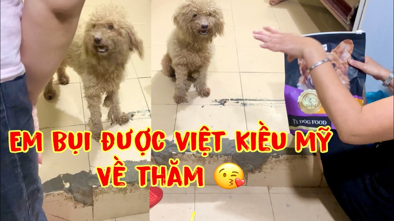 Bụi được cô bên mỹ ghé thăm , tên thật là Mon