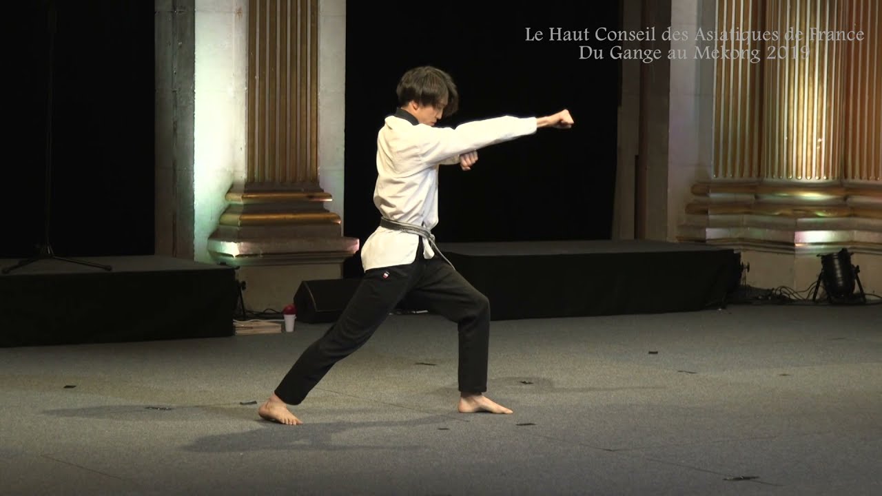 HCAF Corée du Sud - Taekwondo, par Juntae WOO (un morceau du son coupé du au droit d'auteur)