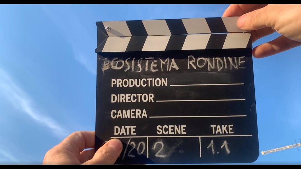 Ecosistema Rondine - L'arrivo delle rondini