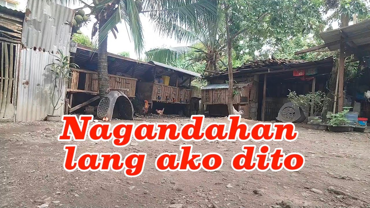 Nagandahan lang ako dito #buhayprobinsya #nature #freshair 