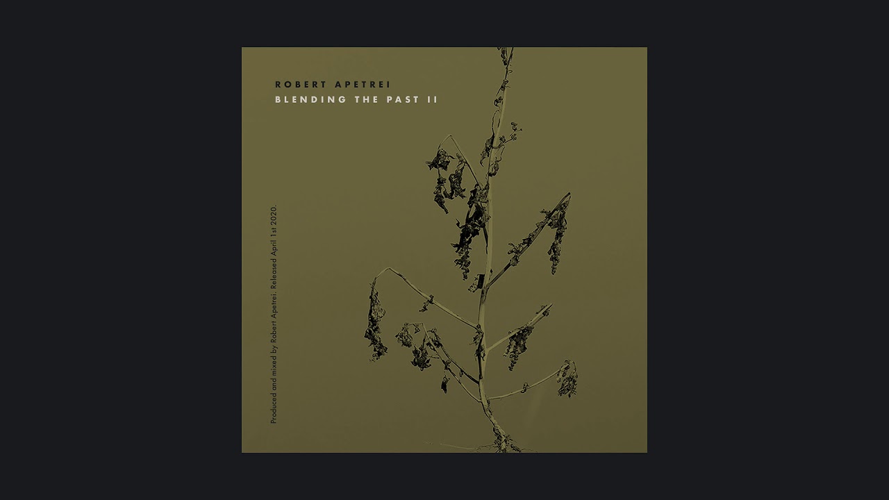 Robert Apetrei - Nigtair