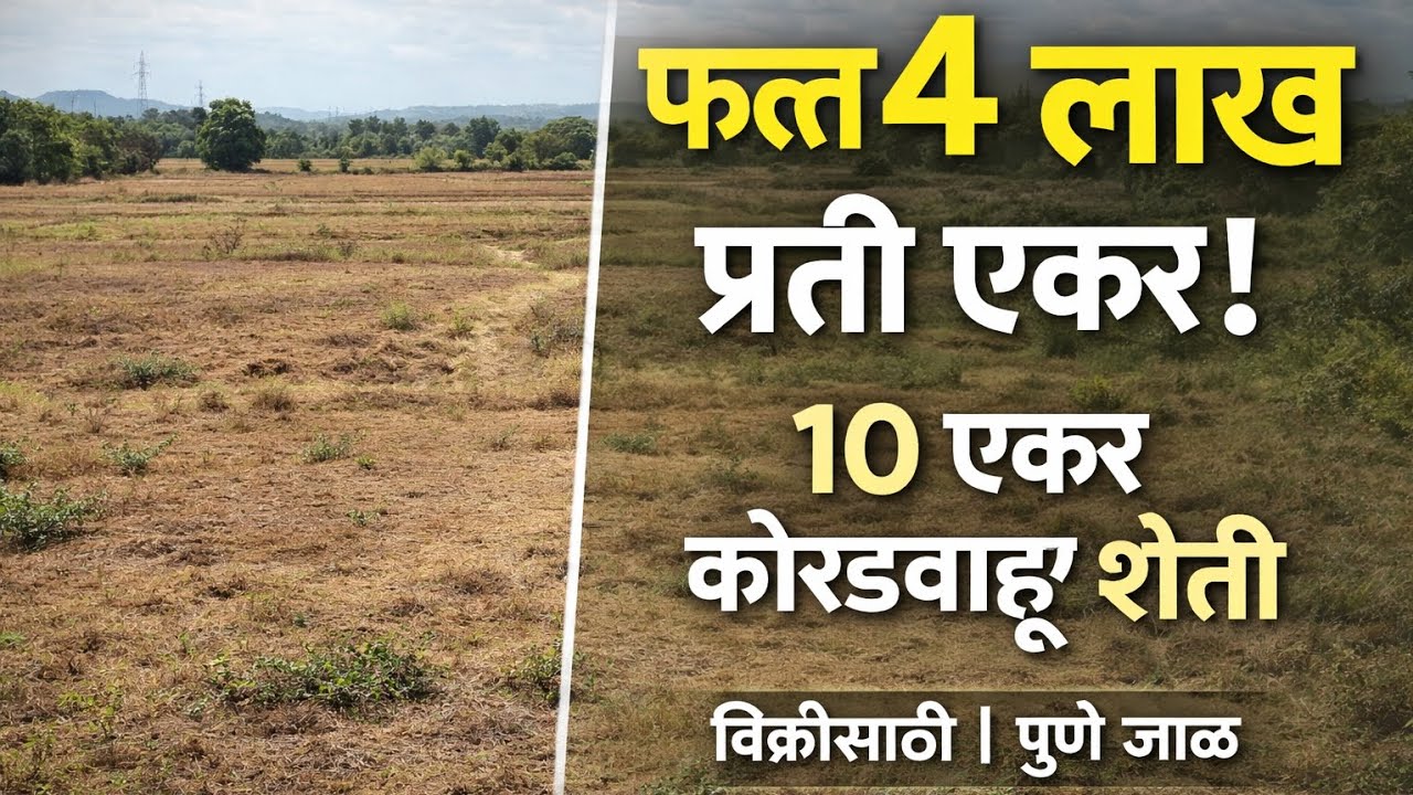 🌾 10 एकर कोरडवाहू शेती विक्रीसाठी उपलब्ध